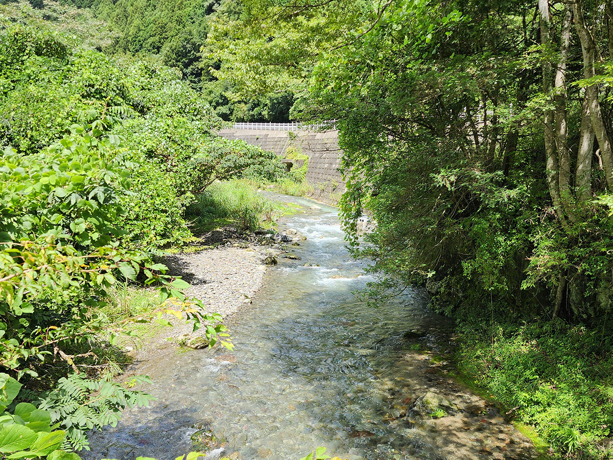 名栗川風景2