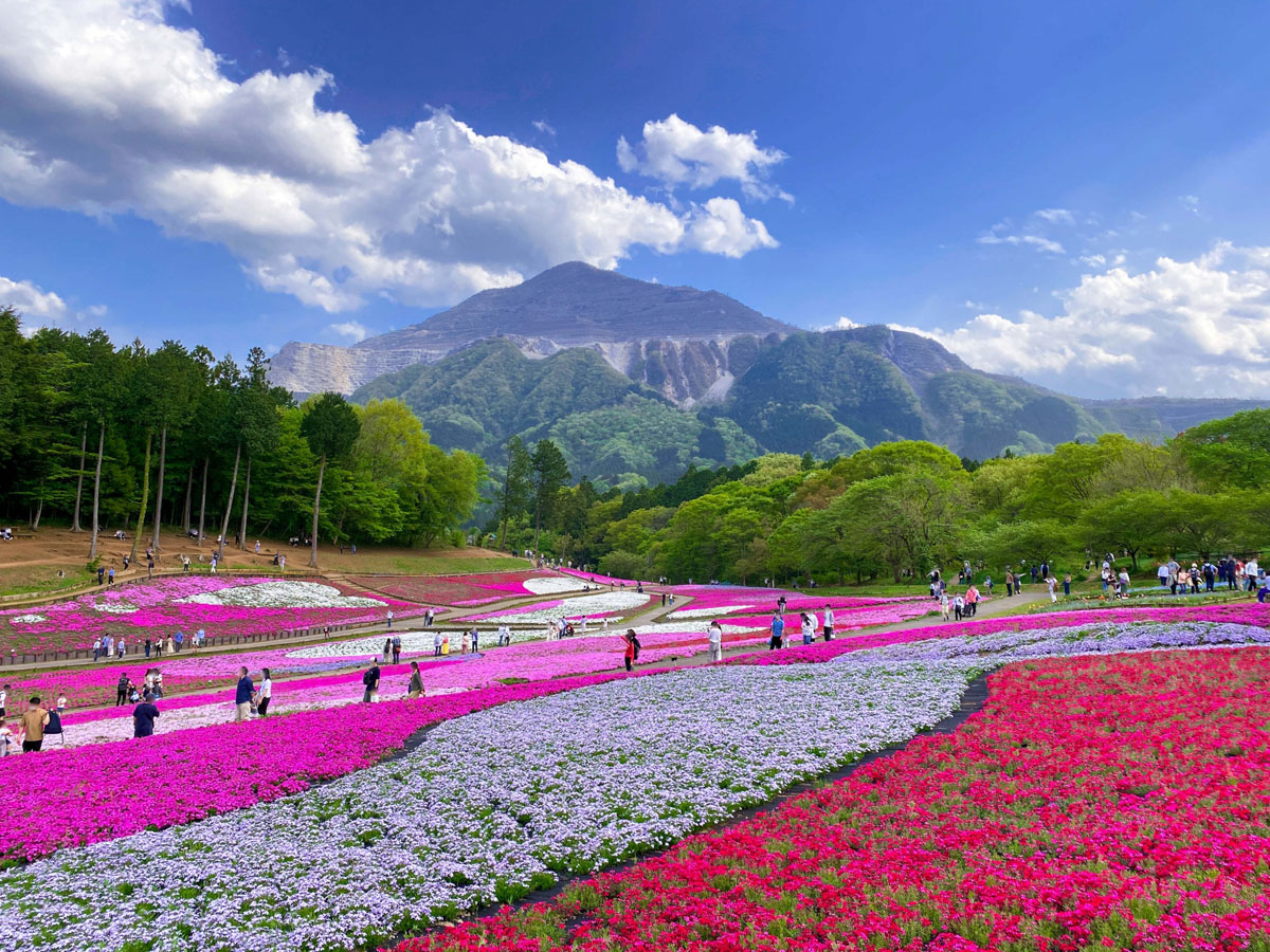 秩父・名栗の風景5